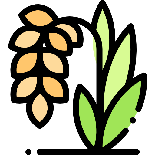 Rice Icon